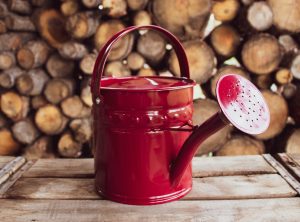 Enamel Watering Can