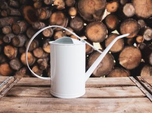 White watering can