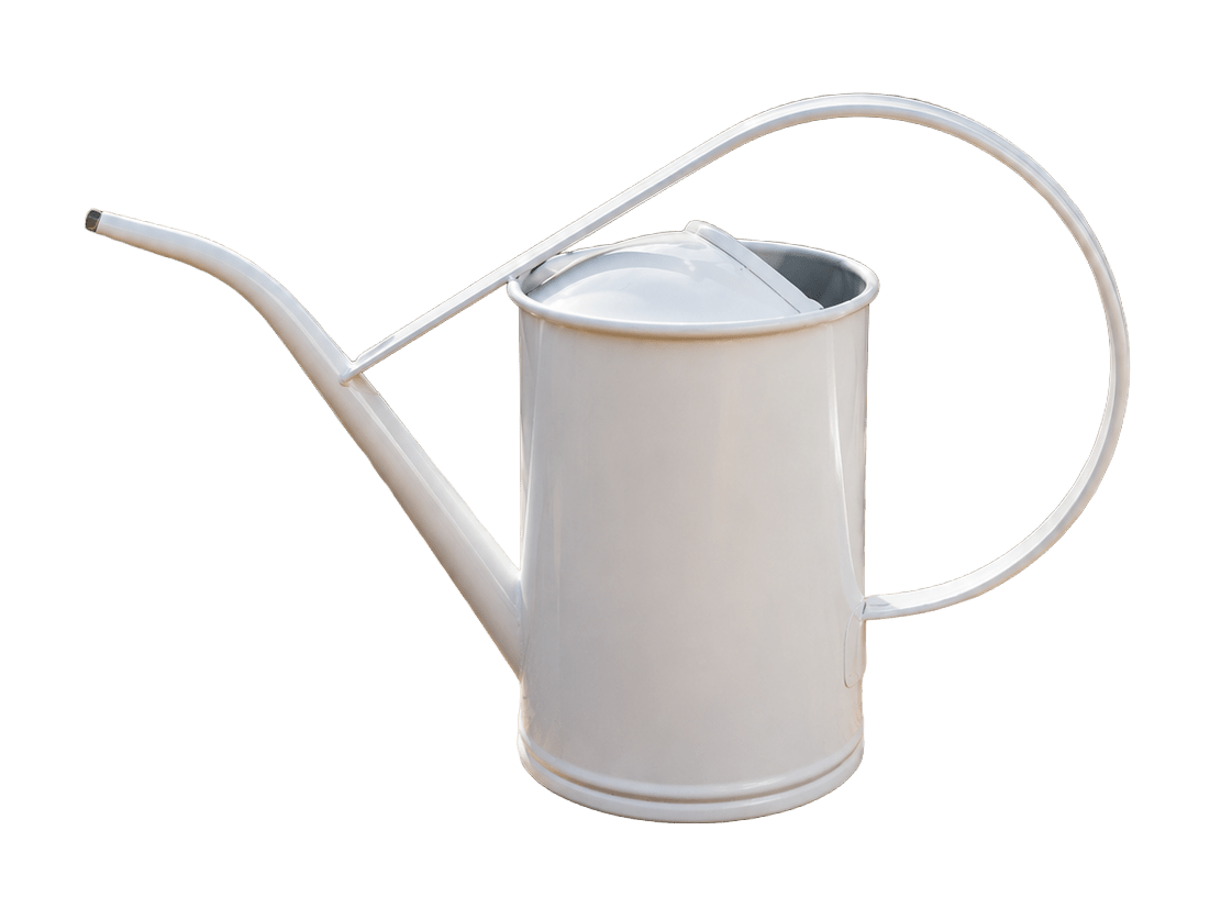 decorative white watering can
